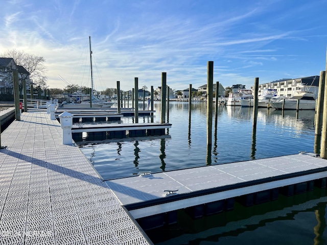 dock area with a water view