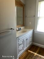 bathroom featuring hardwood / wood-style floors, vanity, and plenty of natural light