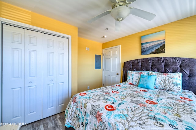 bedroom featuring electric panel, a ceiling fan, a closet, and wood finished floors