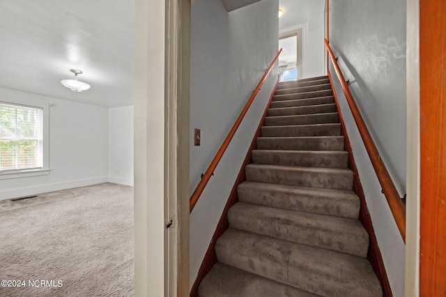 staircase with carpet