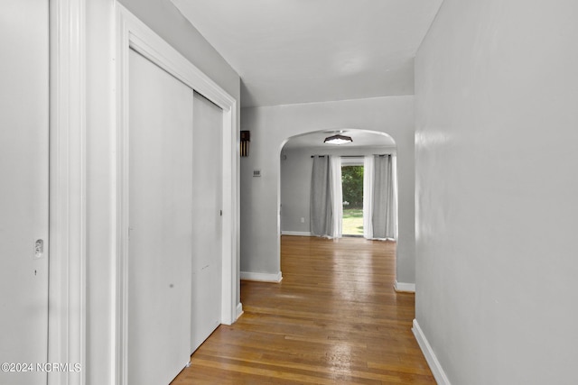 hallway featuring hardwood / wood-style flooring