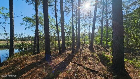 3523 Whortonsville Rd, Merritt, NC 28556