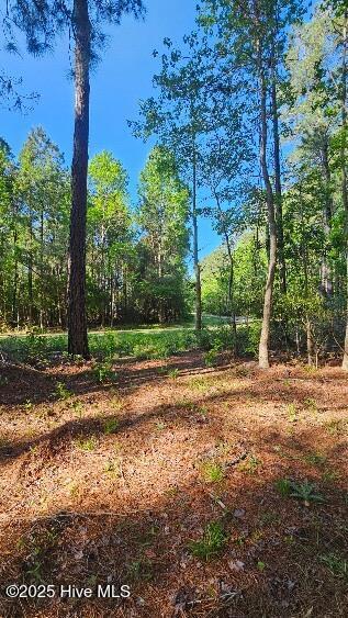 3523 Whortonsville Rd, Merritt, NC 28556