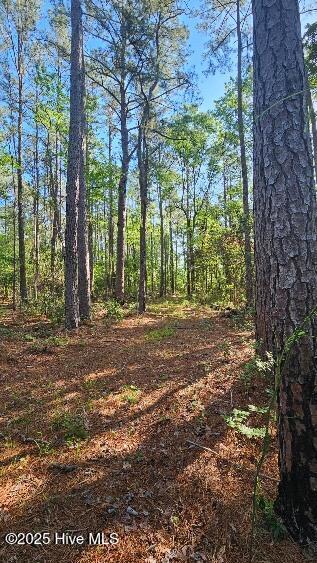 3523 Whortonsville Rd, Merritt, NC 28556