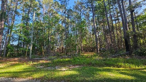 3523 Whortonsville Rd, Merritt, NC 28556