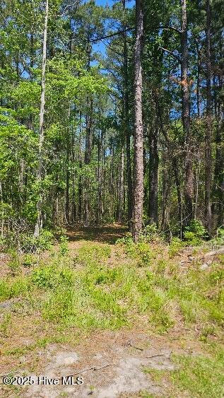 3523 Whortonsville Rd, Merritt, NC 28556