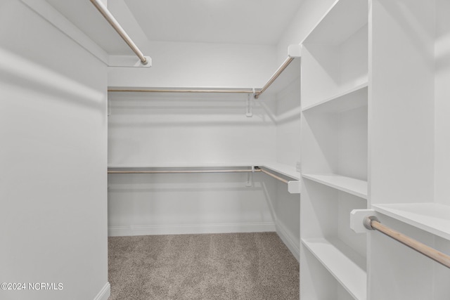 walk in closet featuring carpet