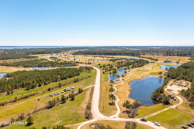 birds eye view of property featuring a water view and a forest view