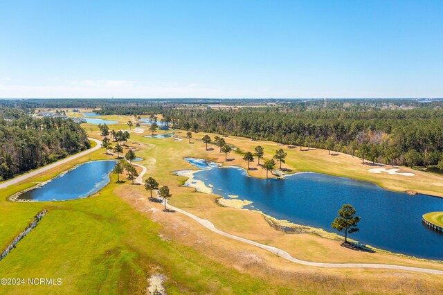 aerial view with a water view and a view of trees