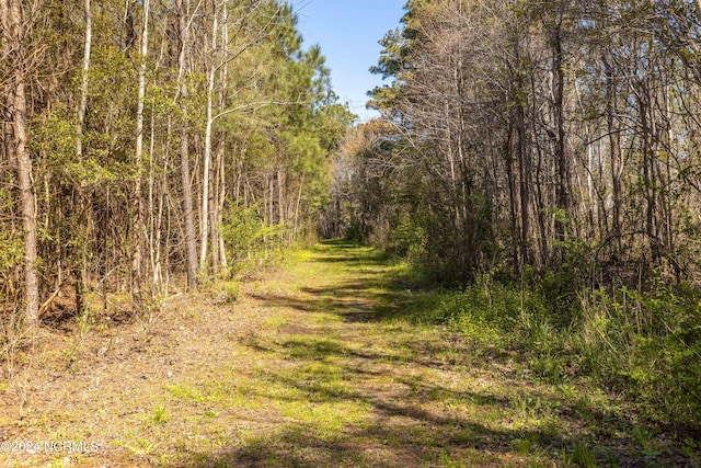 view of landscape featuring a view of trees