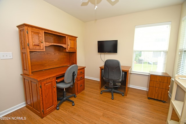 office featuring ceiling fan and light hardwood / wood-style flooring