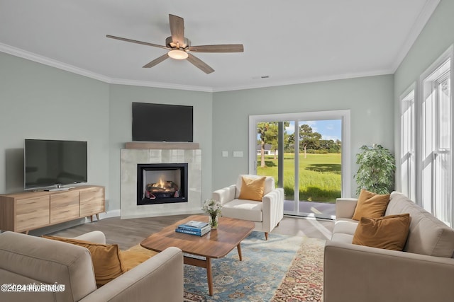 living room featuring ceiling fan, crown molding, and light hardwood / wood-style flooring