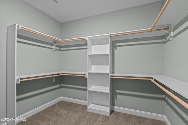 spacious closet with carpet