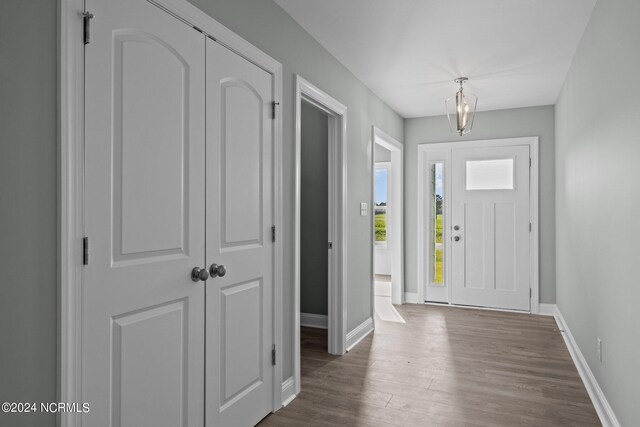 foyer with dark hardwood / wood-style floors