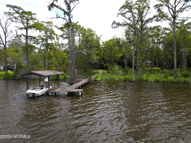 dock area with a water view