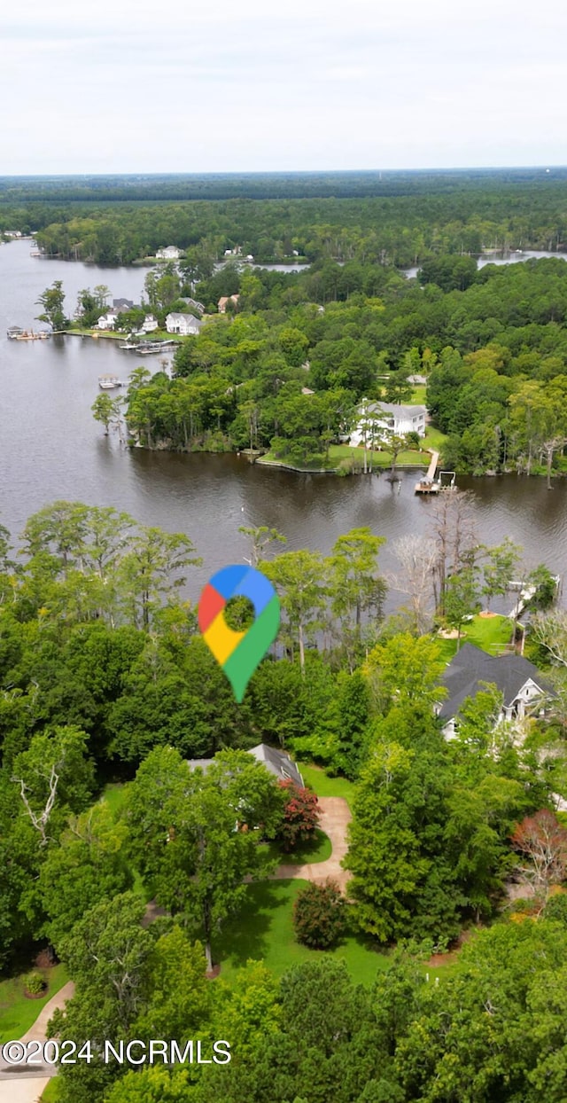 bird's eye view with a water view and a wooded view