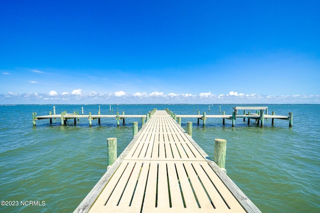 dock area with a water view