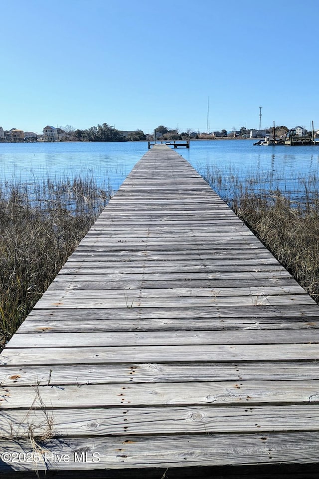 dock area with a water view