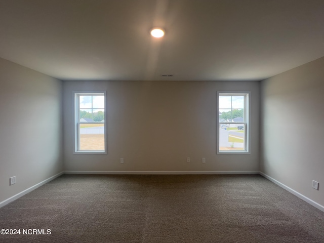 unfurnished room featuring carpet and a healthy amount of sunlight