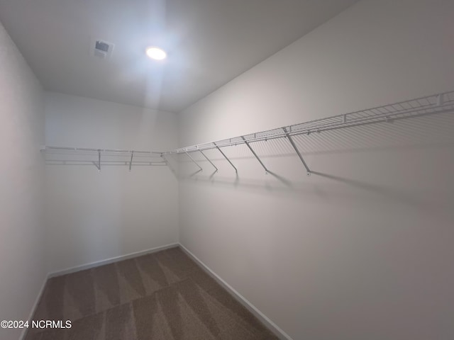 walk in closet with dark colored carpet