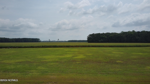 view of local wilderness with a rural view