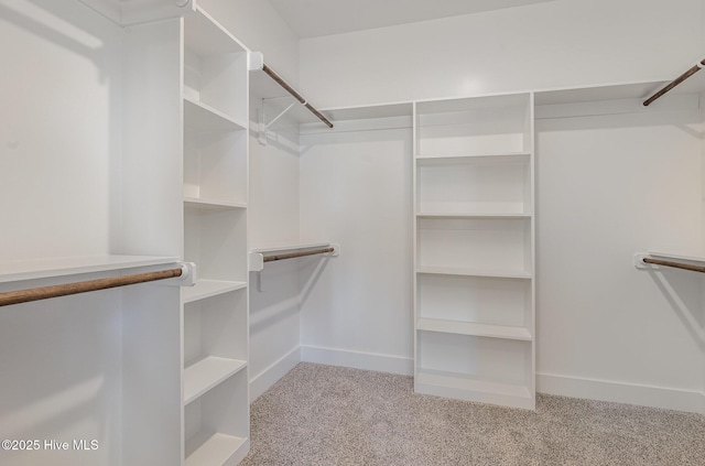 walk in closet featuring light carpet