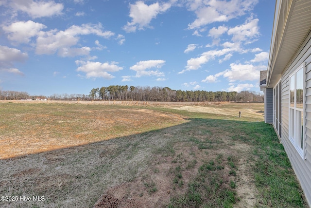 198 Ruskin Dr, Smithfield, NC 27577 - view of yard