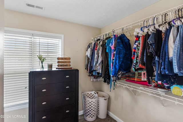 spacious closet with carpet floors