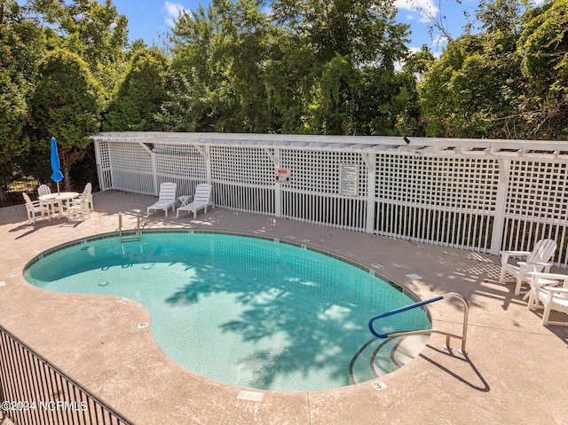 view of swimming pool featuring a patio