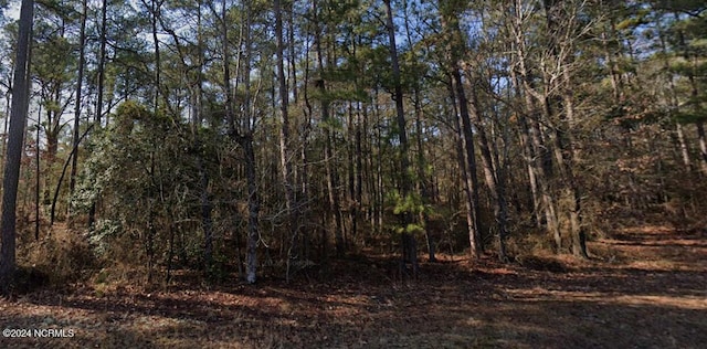 TBD Riverbirch Dr, Vass NC, 28394 land for sale