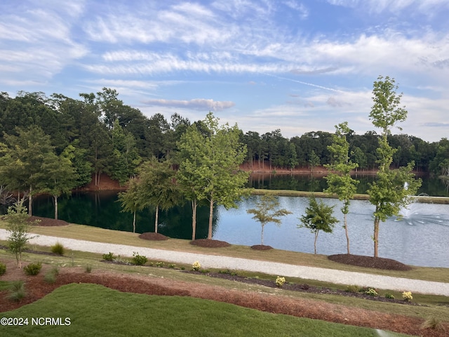 property view of water