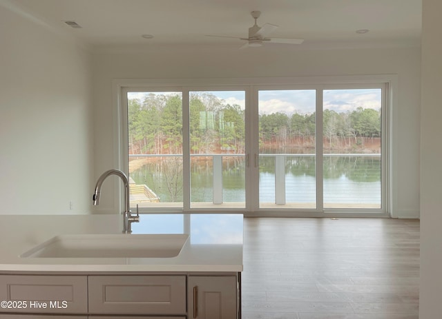 kitchen featuring a water view, sink, light wood-type flooring, and plenty of natural light