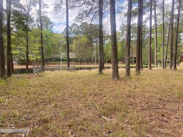 204 W Lake View Ln, Washington NC, 27889 land for sale