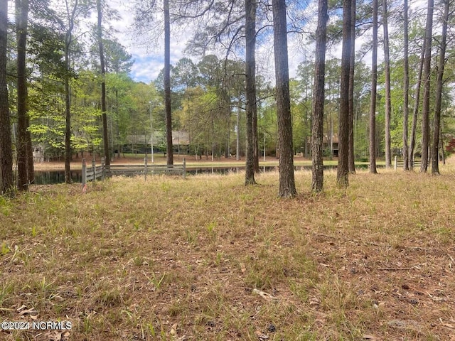 204 W Lake View Ln, Washington, NC 27889