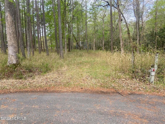 204 W Lake View Ln, Washington, NC 27889