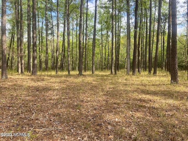 204 W Lake View Ln, Washington, NC 27889