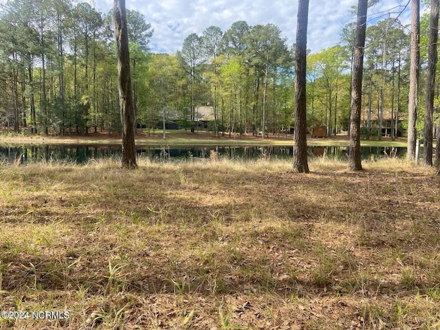 204 W Lake View Ln, Washington, NC 27889