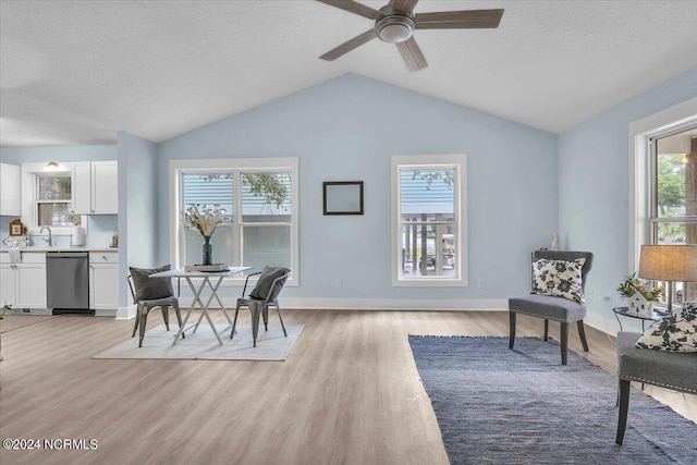 sitting room with sink, light wood-type flooring, a textured ceiling, and a wealth of natural light