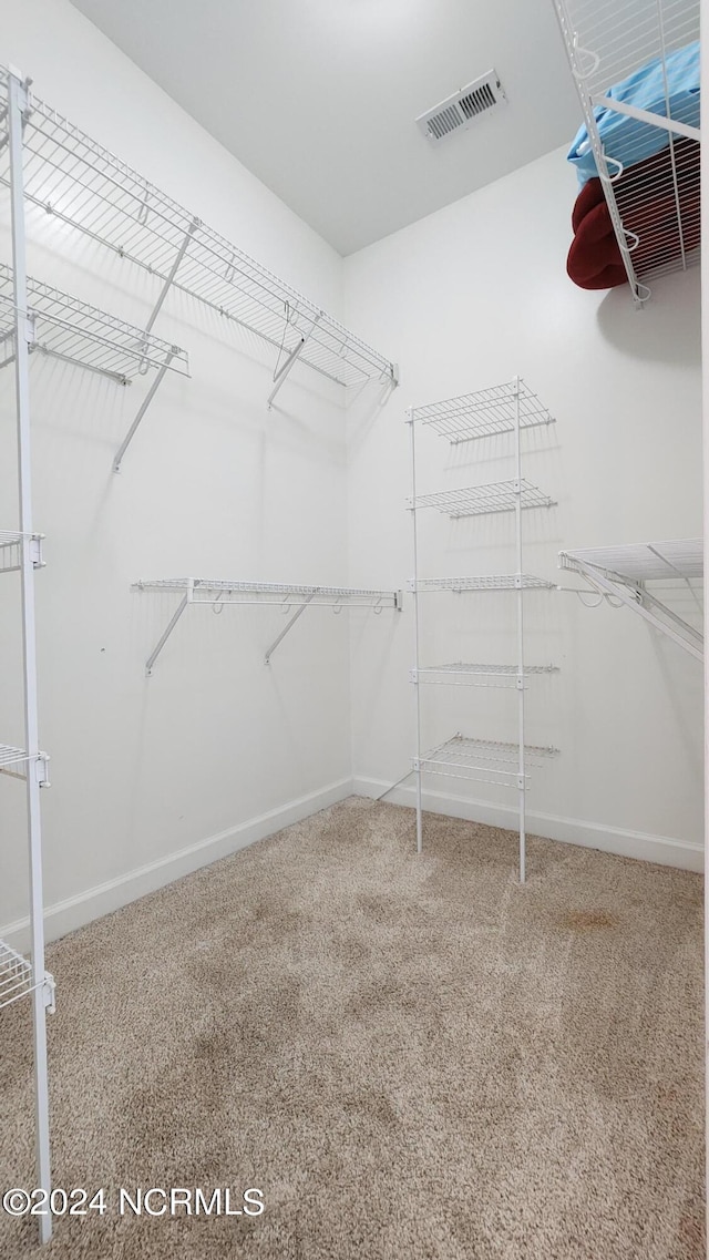 spacious closet featuring carpet flooring