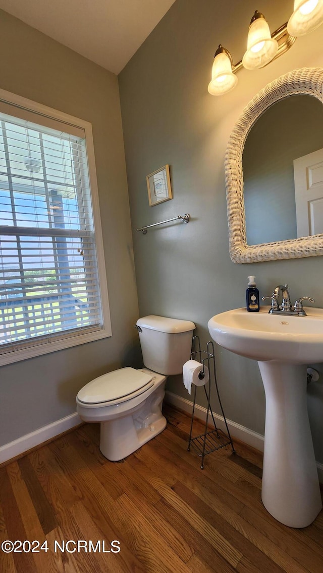 bathroom featuring hardwood / wood-style flooring, toilet, and sink