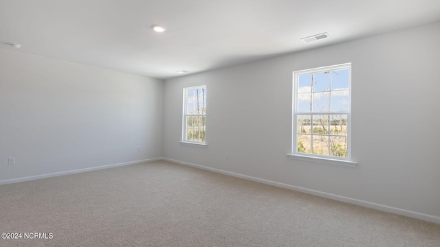 spare room featuring carpet flooring and plenty of natural light