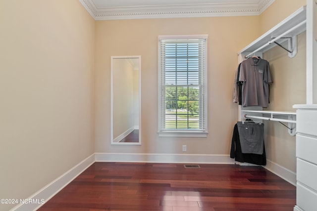 walk in closet with dark hardwood / wood-style flooring