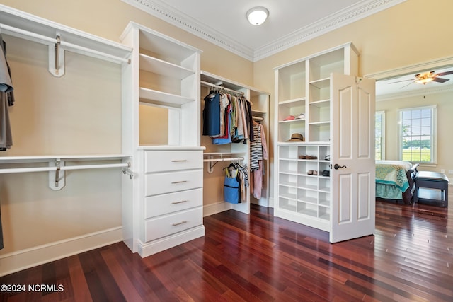 walk in closet with dark wood-style flooring and ceiling fan