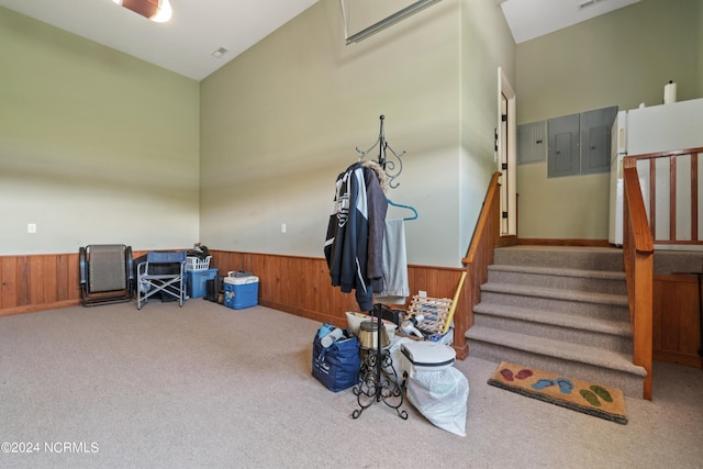 interior space featuring carpet, a wainscoted wall, and wooden walls