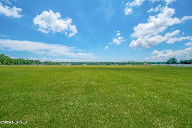 view of yard with a rural view