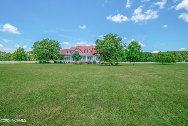 view of yard