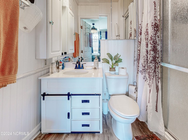 bathroom with vanity, hardwood / wood-style floors, and toilet