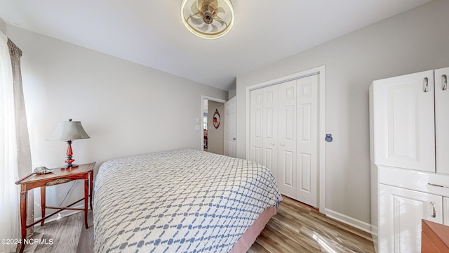 bedroom featuring a closet and wood-type flooring