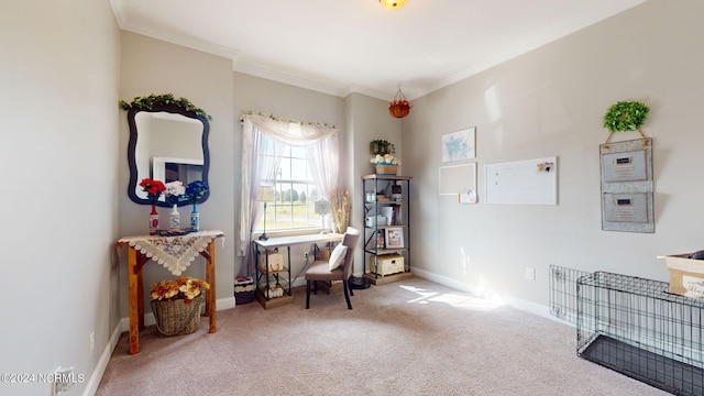 interior space with crown molding