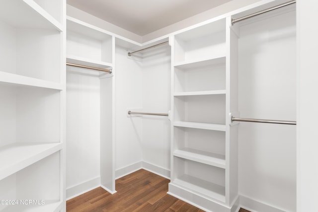 walk in closet featuring dark hardwood / wood-style flooring